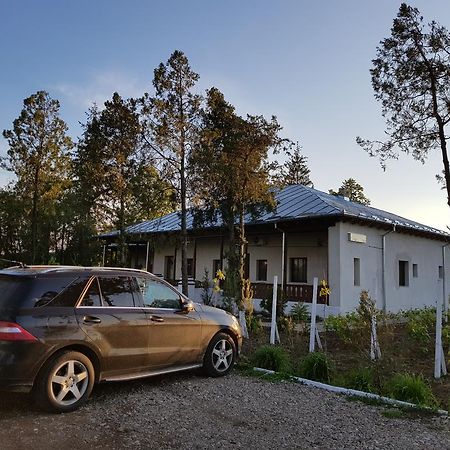 Conacul Balta Alba Hotel Eksteriør billede