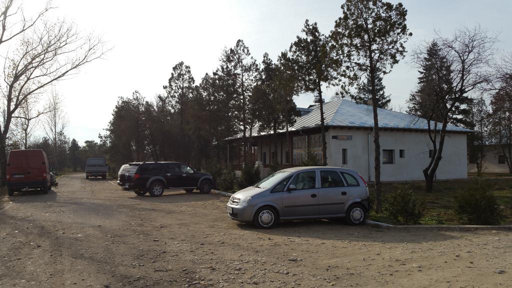 Conacul Balta Alba Hotel Eksteriør billede